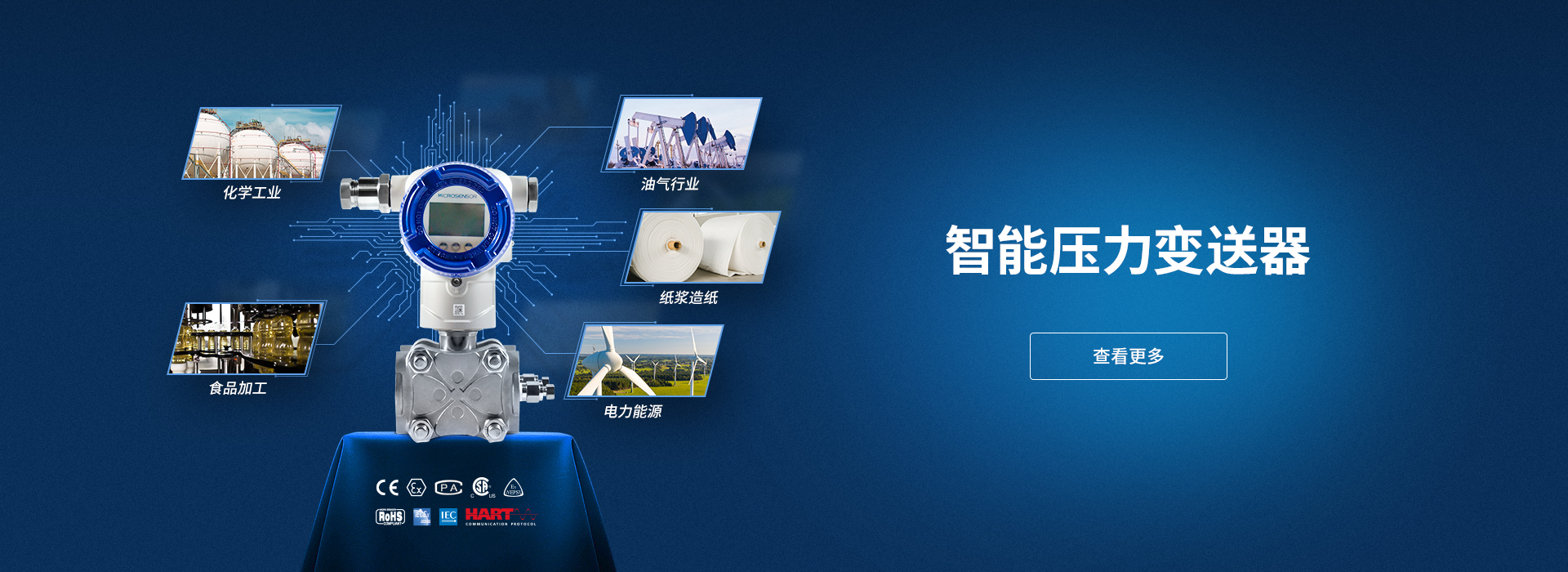 流程工業(yè)壓力變送器